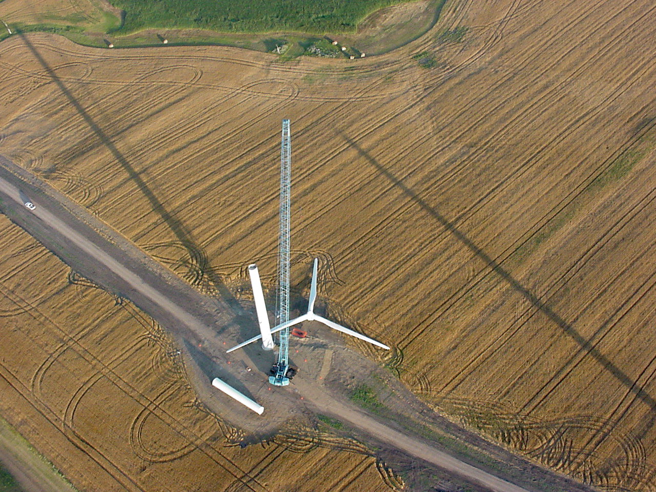 Wind farm siting